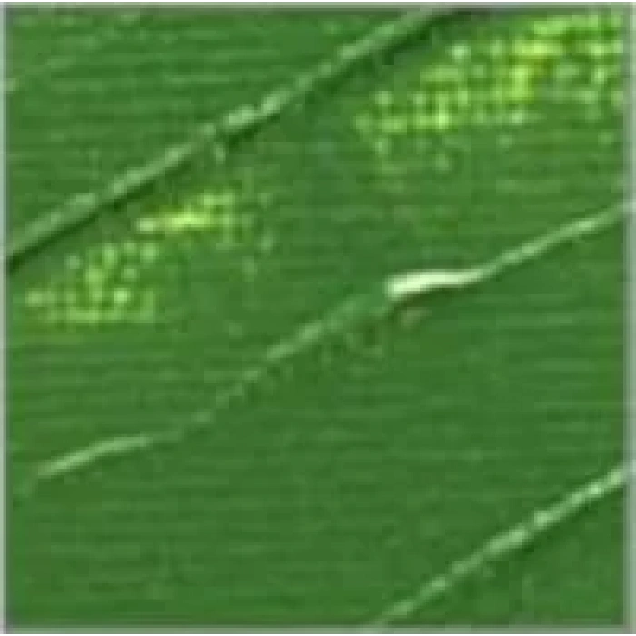 Pebeo Studio Akrilik Boya 61 Green Earth 100ml