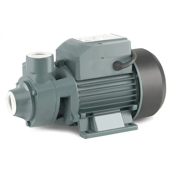 Rainpump Qb60 Santrifuj Pompa 0.37 Kw