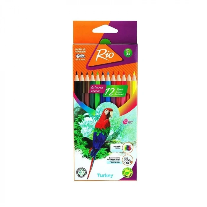 RİO 12 RENK KURU BOYA 18120