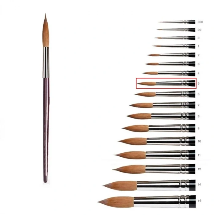 Samur 5 No Sulu Boya Fırçası