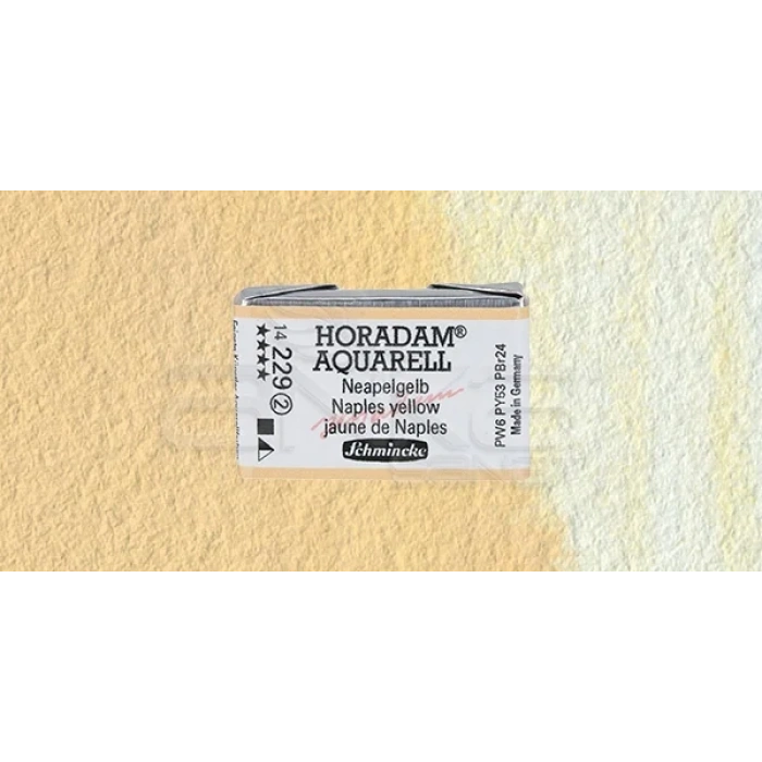 Schmincke Horadam Aquarell 1/1 Tablet 229 Naples Yellow seri 2