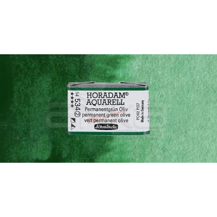 Schmincke Horadam Aquarell 1/1 Tablet 534 Permanent Green Olive Seri 2