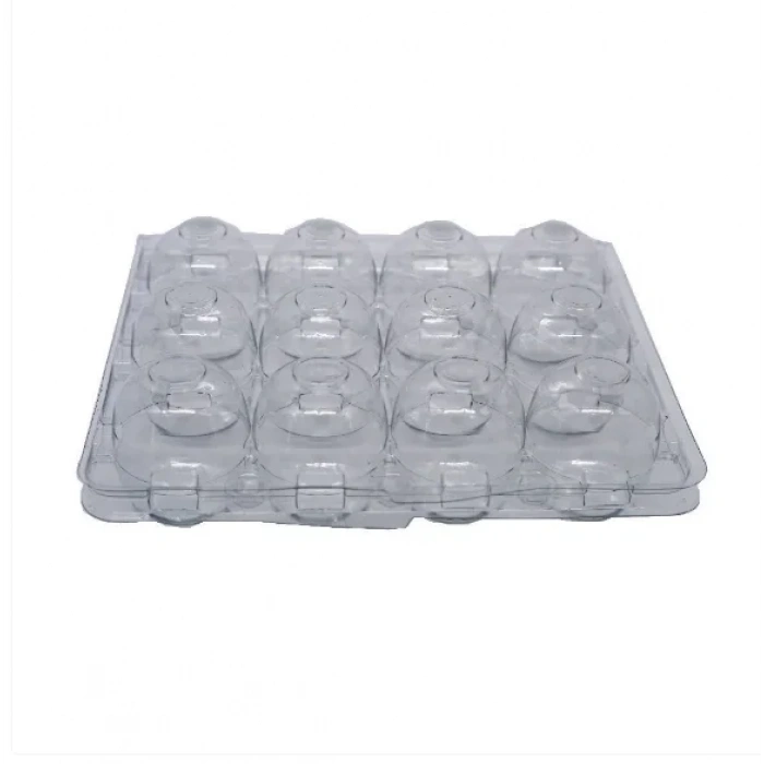 Şefffaf Bıldırcın Yumurtası Viyolü 12li ( 800 Adet )