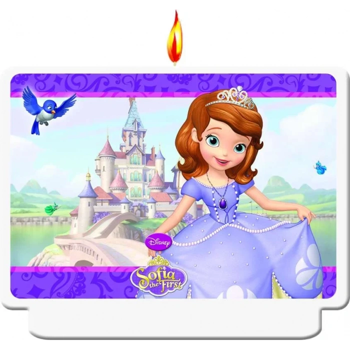 Sofia The First Pasta Mumu 1 Adet