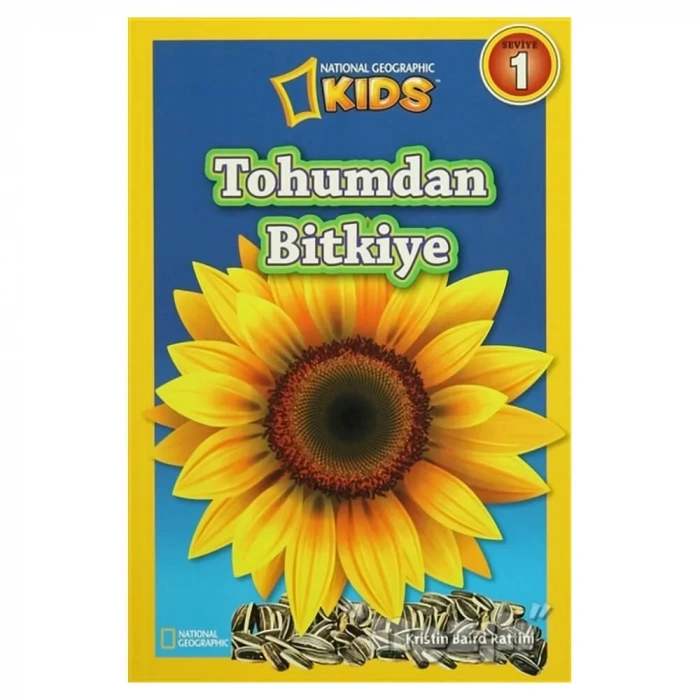 Tohumdan Bitkiye