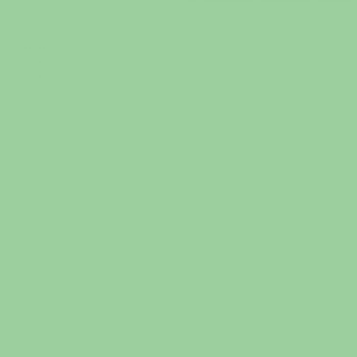Touch Twin Brush Marker GY59 Pale Green