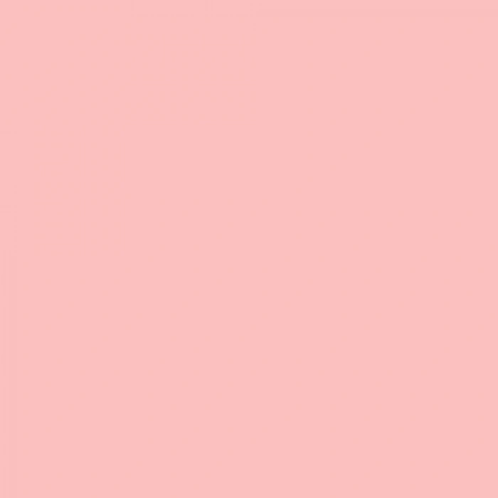 Touch Twin Brush Marker R136 Blush