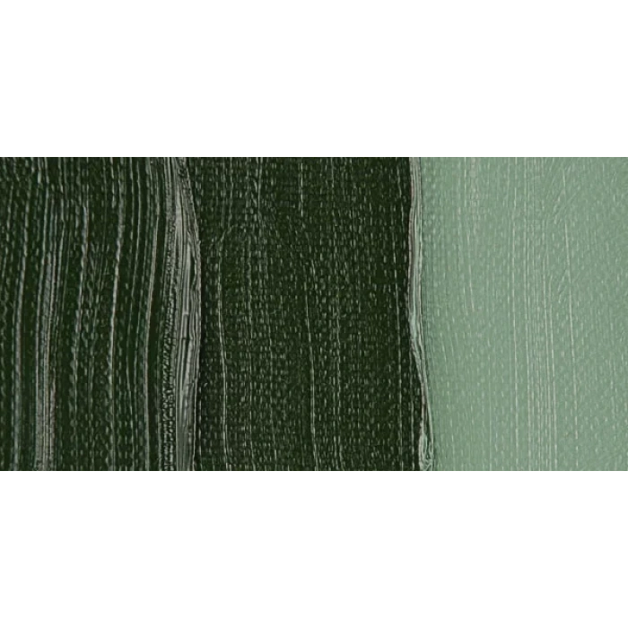 Van Gogh 40ml Yağlı Boya Seri:1 No:629 Green Earth