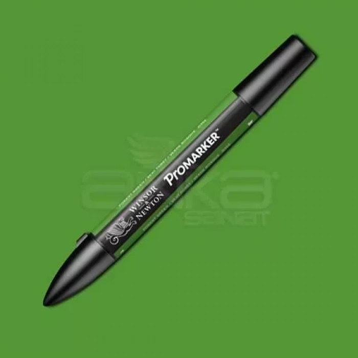 Winsor & Newton Promarker Forest Green G356