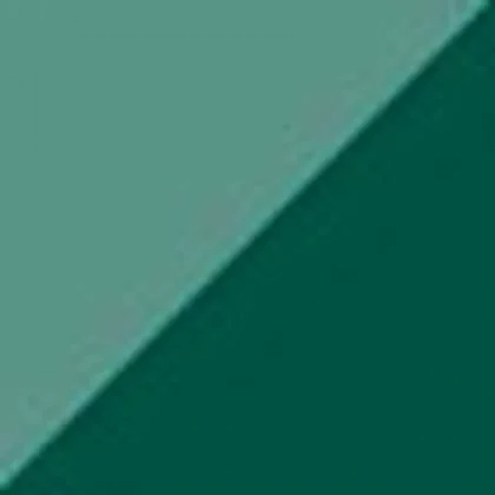 Zig Brushables 2 Renk Tonu Fırça Uçlu Marker Kalem 040 Pure Green