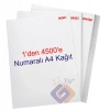 1 Den 4500 E Numaralı A4 Fotokopi Kağıdı