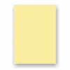 Adel 50x70 160 Gr Açık Sarı Fon Kartonu 2032 100 Lü