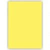 ALEX KOLEJ FON KARTONU 50x70 LİMON SARISI 160 GR 100 LÜ 1053