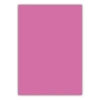Bigpoint A4 Cilt Kapağı 150 Mikron Opak Pembe 100lü Paket