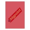 Bigpoint A4 Cilt Kapağı 150 Mikron Şeffaf Kırmızı 100lü Paket
