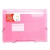 Bigpoint Bp260 Körüklü Dosya Pembe A4 Lastikli 13 Cepli
