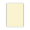 Bigpoint Fon Kartonu 50x70cm 120 Gram Fildişi