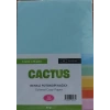Cactus Fotokopi Kağıdı Renkli A4 80 Gr. 100Lü 5 Renk
