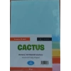 Cactus Fotokopi Kağıdı Renkli A4 80 gr. 50li 5 Renk