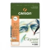 Canson C à grain Eskiz Çizim Defteri A4+ 180gr 30yp Spiralli