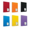 ÇINAR COLORMAXI A4 40 YP KARELİ PP KAPAK SPİRALLİ DEFTER 73017