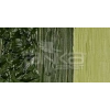 Daler Rowney Georgian Water Mixable Oil Su Bazlı Yağlı Boya 37ml 363 Olive Green