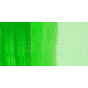 Daler Rowney System 3 Akrilik Boya 500ml 349 Fluorescent Green