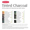 Derwent Tinted Charcoal Sulandırılabilen Renkli Füzen Kalem 24lü Set