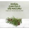 Doğal Çam Özlü Diş Macunu 90 Ml