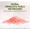 Doğal Himalaya Tuzlu Özlü Diş Macunu 90 ml