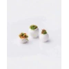 Eshel Maket Çiçekli Toprak Saksı 1/75 3lü