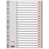 Esselte Seperatör 1-20 Rakamlı Plastik A4 100107