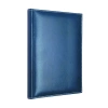 GIPTA MODELİST DERİ KAPAK DEFTER 17x24 KARELİ 160 YAPRAK (1604)