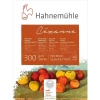 Hahnemühle Cezanne Sulu Boya Blok Cold Pressed 300g 10 Yaprak 30x40cm