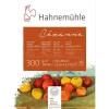 Hahnemühle Cezanne Sulu Boya Blok Rough 300g 10 Yaprak 30x40cm