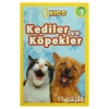 Kediler Ve Köpekler