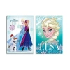 Keskin Frozen Plastik Kapak Defter A4 Kareli 40 Yaprak (322502)