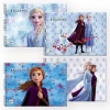 Keskin Resim Defteri 35x50cm 15yp Frozen II 300315-92