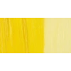 Maimeri Classico 60ml Yağlı Boya 116 Primary Yellow