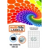 MULTİOFİS 38,1x21 mm LASER ETİKET 5065 OVAL