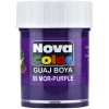 NOVA COLOR GUAJ BOYA MOR ŞİŞE NC-111