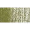 Rembrandt Soft Pastel Boya Olive Green 620.3