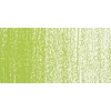 Rembrandt Soft Pastel Boya Olive Green 620.7