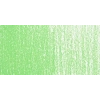 Rembrandt Soft Pastel Boya Permanent Green Light 618.5