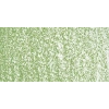 Sennelier Yağlı Pastel 046 Olive Green