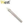 Wert 3405 Cam Delme Ucu (10x65mm)