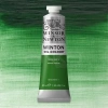 Winsor & Newton Winton Yağlı Boya 37ml 637 Terre Verte
