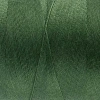Wonderfil Polyester Dikiş İpliği - Ds848 - Parsley