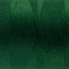Wonderfil Polyester Dikiş İpliği - Ds854 - Green House