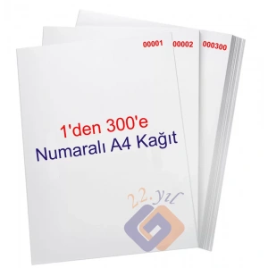 1 Den 300 E Numaralı A4 Fotokopi Kağıdı
